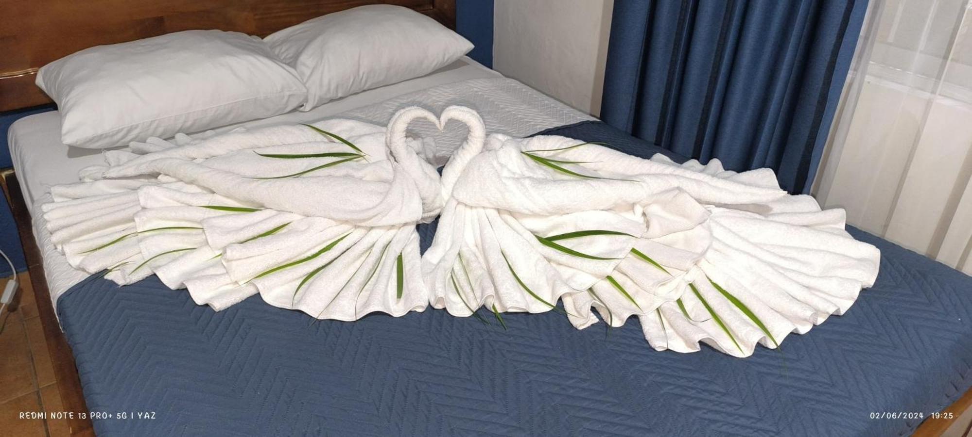 Park View Hotel & Restaurant Alajuela Luaran gambar